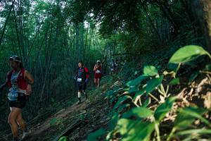 BIB: 
                            <button type="button" onclick="openModal(28124434)" class="btn btn-primary btn-sm float-right btn-popup" data-toggle="modal" data-target=".modal-high-quality">
                        <i class="fas fa-shopping-cart"></i> Add to Cart
                    </button>
                                            <button type="button" onclick="isThisMe(28124434, true)" class="btn btn-success btn-sm float-right btn-popup btn-isme hidden" data-toggle="tooltip" data-placement="bottom" title="นี่คือรูปของคุณใช่ไหม คลิกที่นี่เพื่อเอาเข้าอัลบั้ม">
                        <i class="fas fa-plus"></i> Add to album
                    </button>
                    <button type="button" onclick="isThisMe(28124434, false)" class="btn btn-warning btn-sm float-right btn-popup btn-isnotme hidden">
                        <i class="fas fa-ban"></i> Remove from album
                    </button>